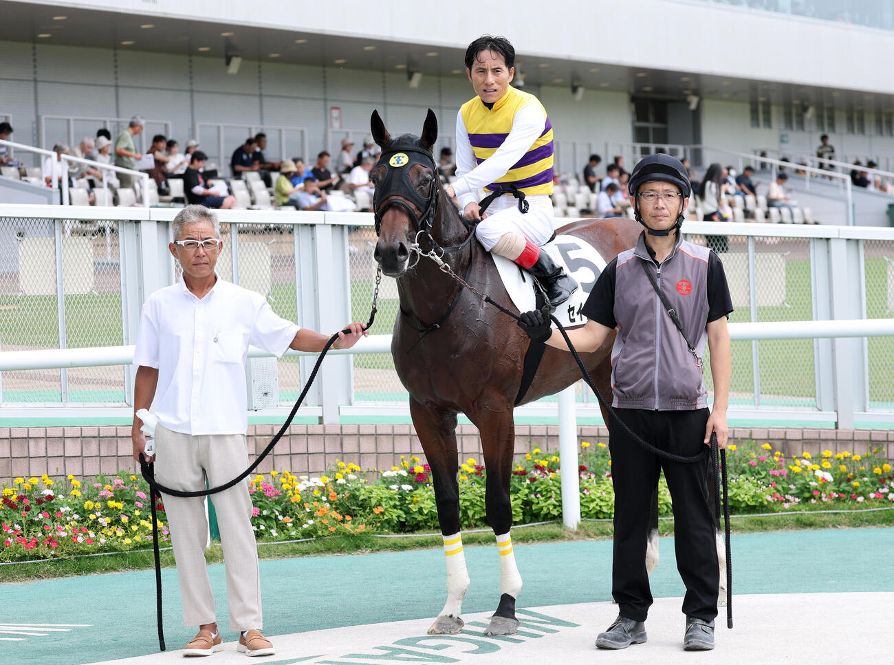 新潟3R、2歳新馬戦を制したセイウンシャラと吉田豊騎手（撮影・鈴木正人）