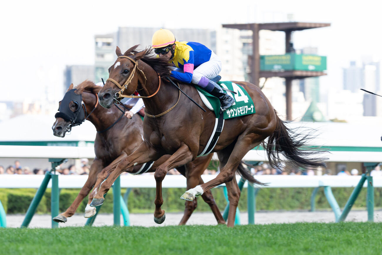 キーンランドCを制したサウンドモリアーナと武豊騎手