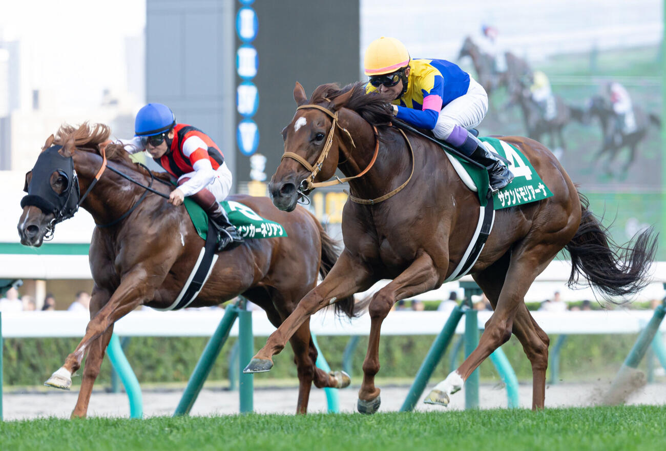 キーンランドC3着に入ったウインカーネリアン（左）。右は勝ったサウンドモリアーナ