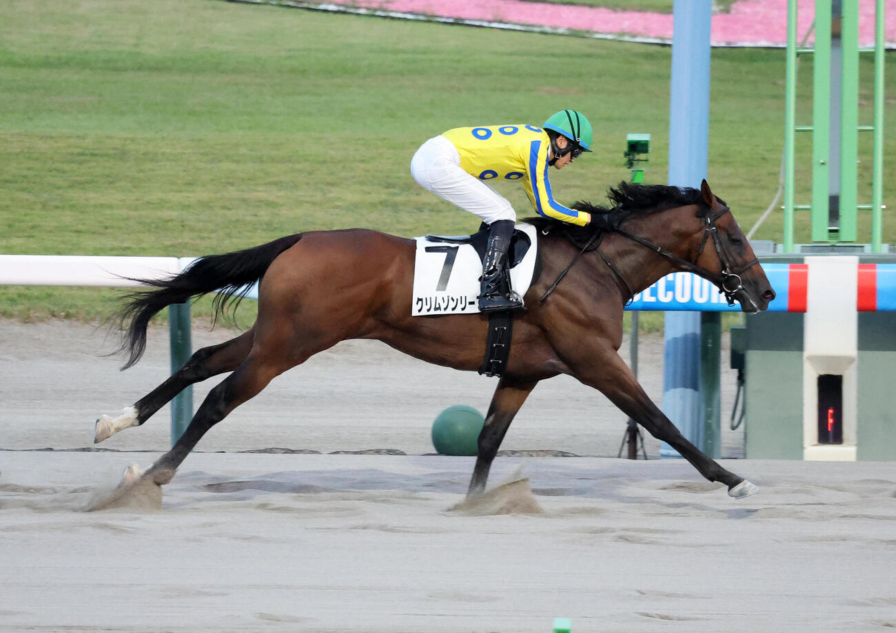 新潟12R 3歳未勝利を制したクリムゾンリーフと坂井瑠星騎手（撮影・鈴木正人）
