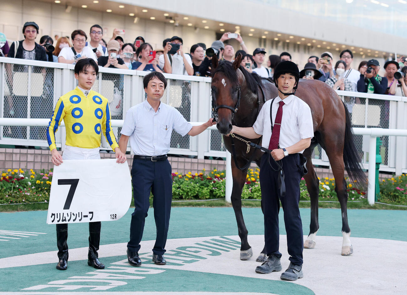 新潟12R 3歳未勝利を制したクリムゾンリーフと坂井瑠星騎手（撮影・鈴木正人）