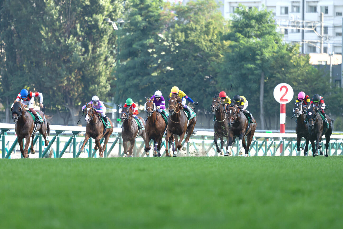 サウンドモリアーナが制したキーンランドC