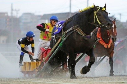 ばんえいJRAジョッキーDAYに出場した騎手の集合写真（提供：ばんえい十勝）