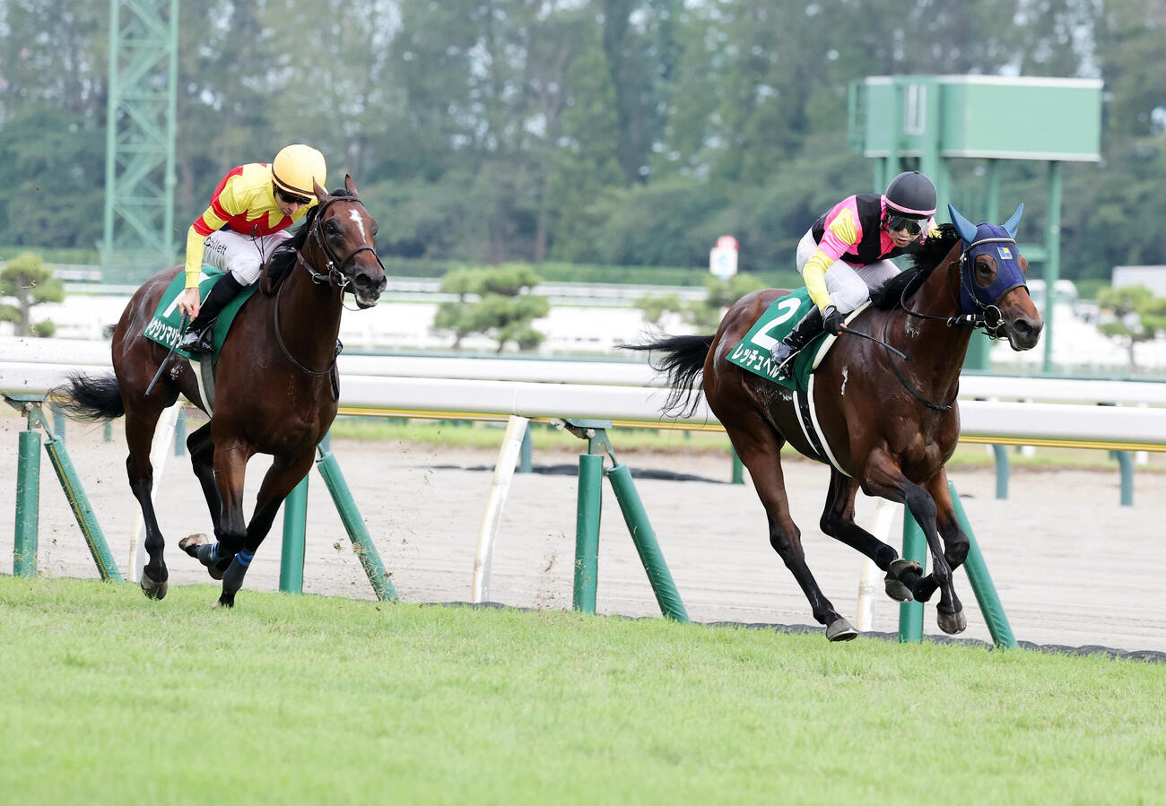 新潟2歳Sを制したレッチュベルク（右）と2着トウシンマジック