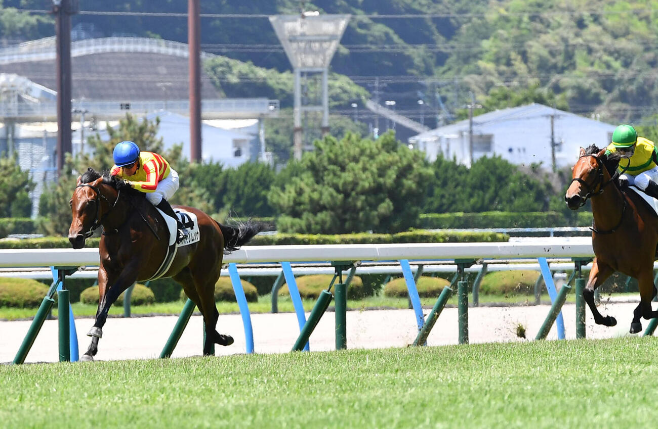 7月12日小倉6R新馬戦を快勝したマルモリムソウ