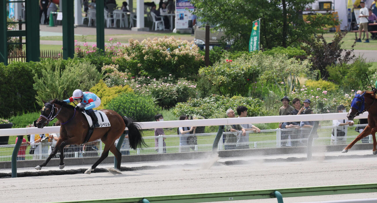 7月19日福島1R2歳未勝利戦を制したムーンベリル
