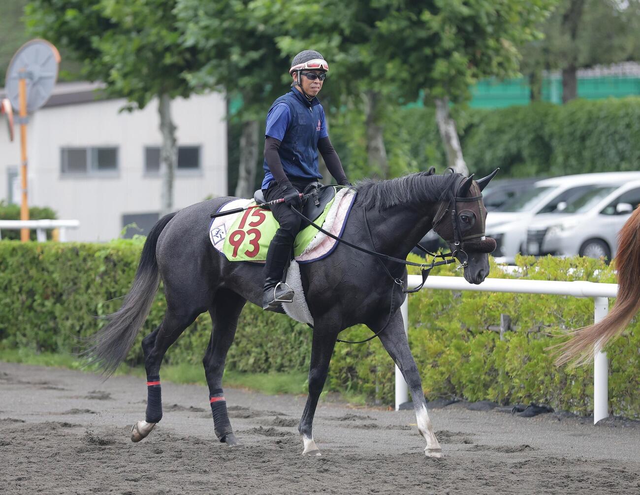 札幌競馬場で調整するイルリサット