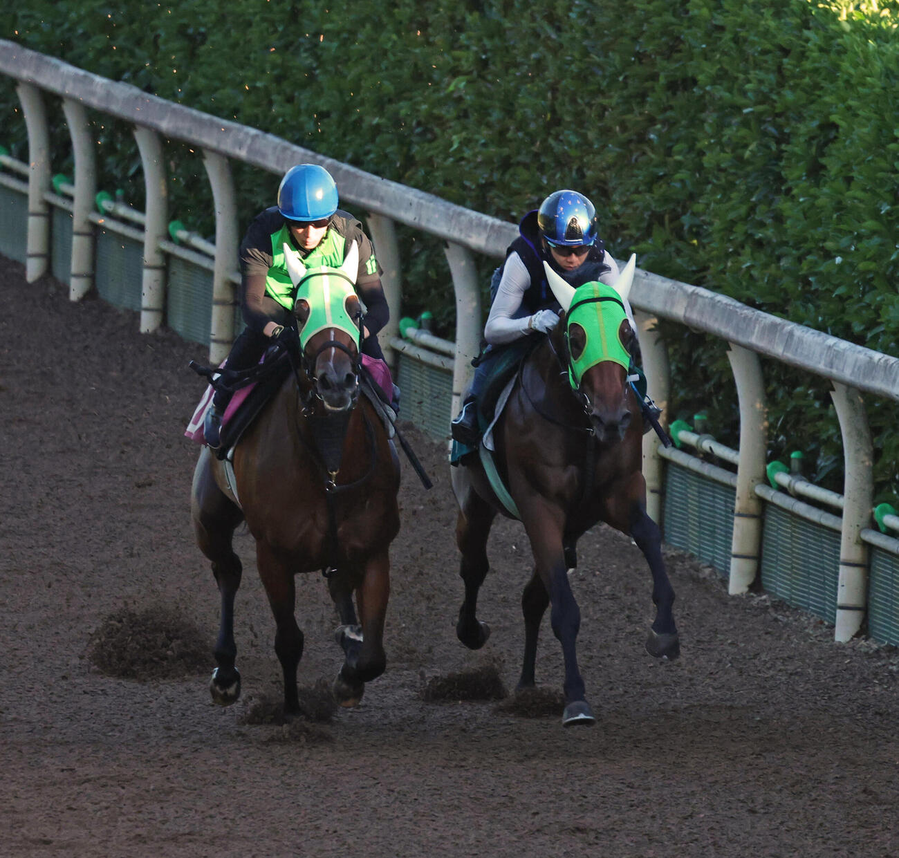20日、松山弘平騎手を背に追い切るコスモクラウン（右）