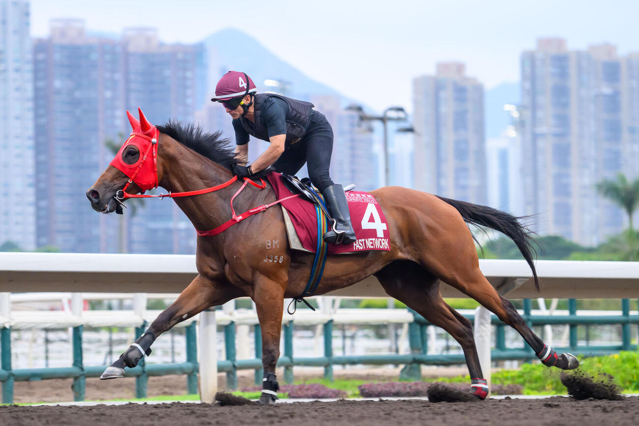 香港馬ファストネットワーク（C）The Hong Kong Jockey Club