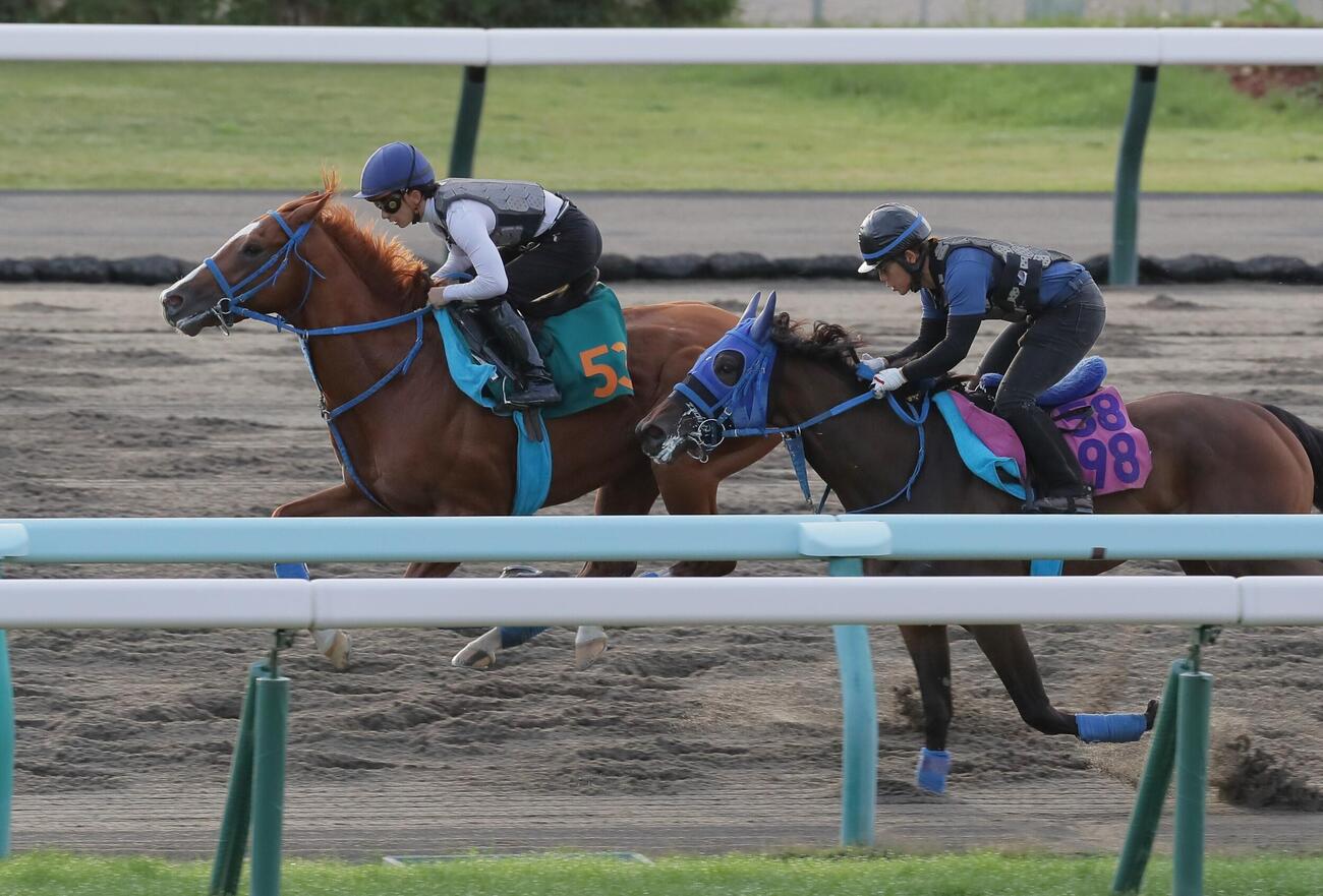 26日、ダートコースで併せ馬で追い切られるトーセンイルン（左）