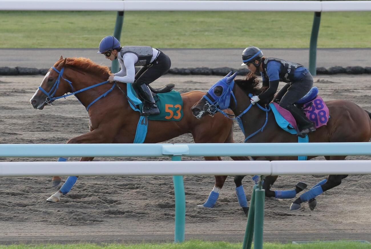 26日、ダートコースで併せ馬で追い切られるトーセンイルン（左）