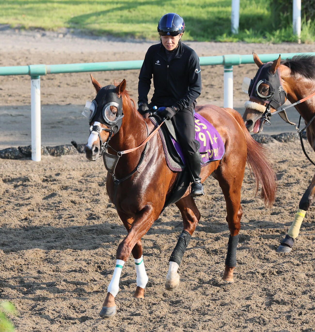 角馬場で調整するアーバンシックと三浦皇成騎手（撮影・丹羽敏通）