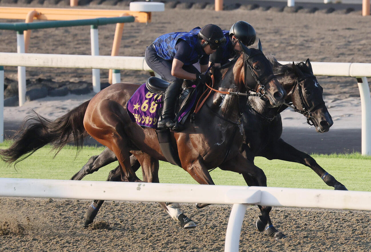 26日、宮田厩舎のステレンボッシュ（手前）とゾロアストロ（奥）はポリトラックコースで併せて追い切られた