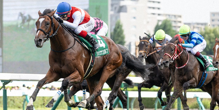 札幌２歳Sを制したショウナンガルフ＝2025年9月6日