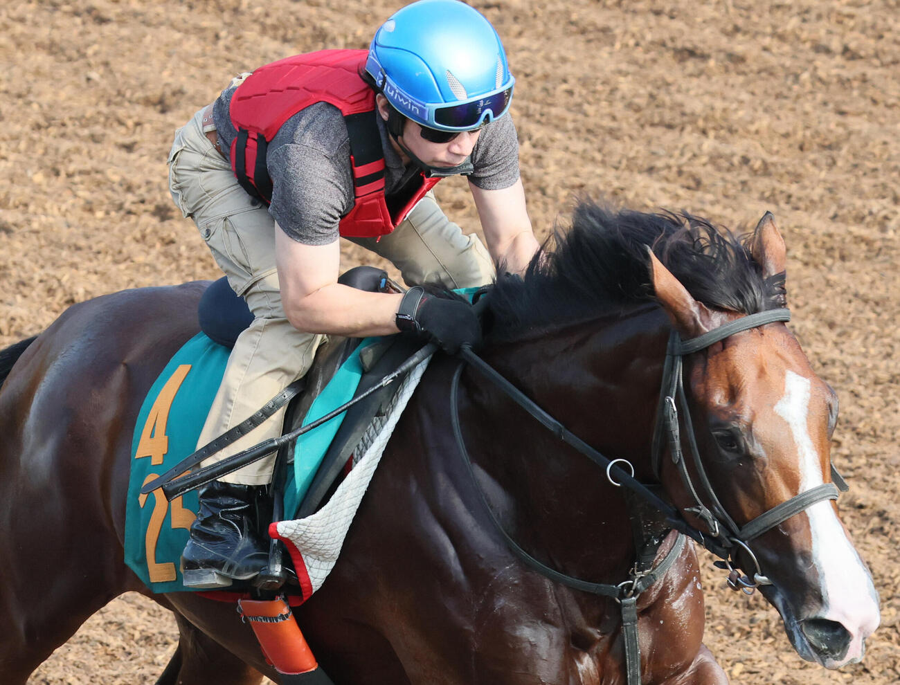 26日、中舘厩舎の2歳馬の追い切りに騎乗した内田博幸騎手