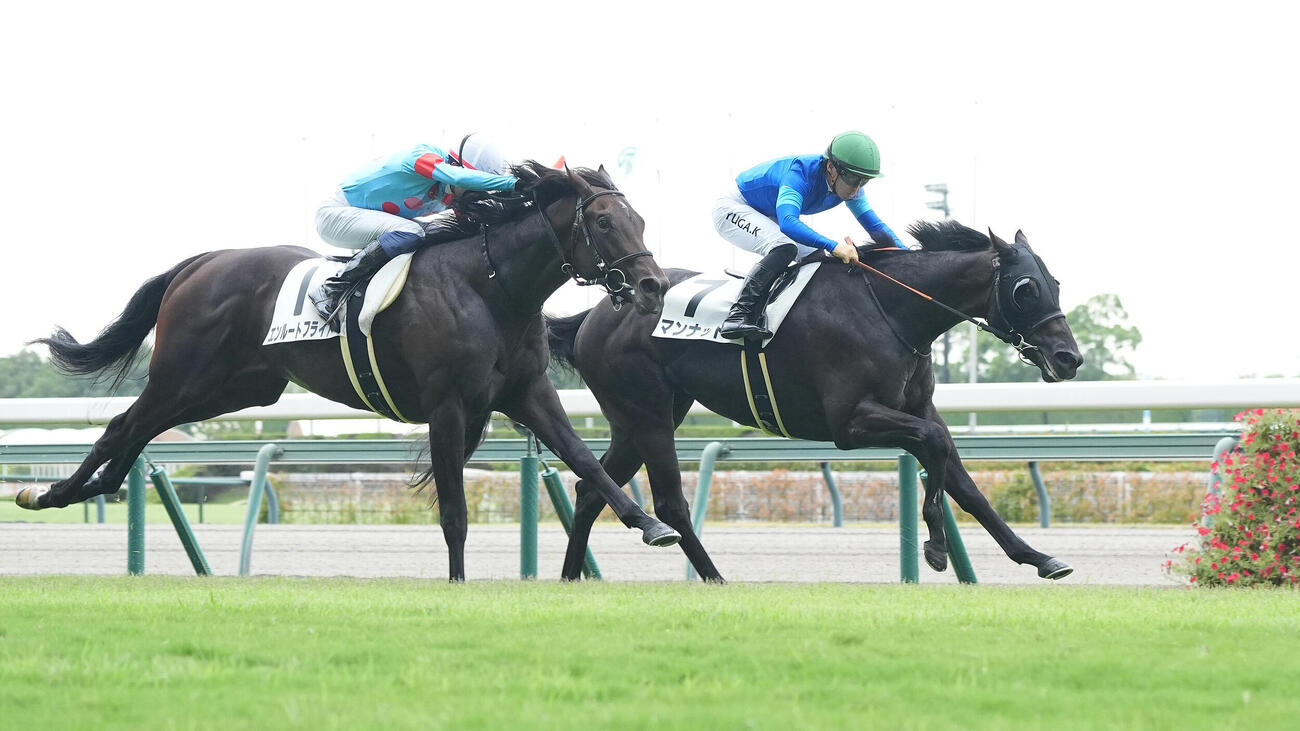 中京1Rでレコード勝ちしたマンナット（右）（撮影・森本幸一）