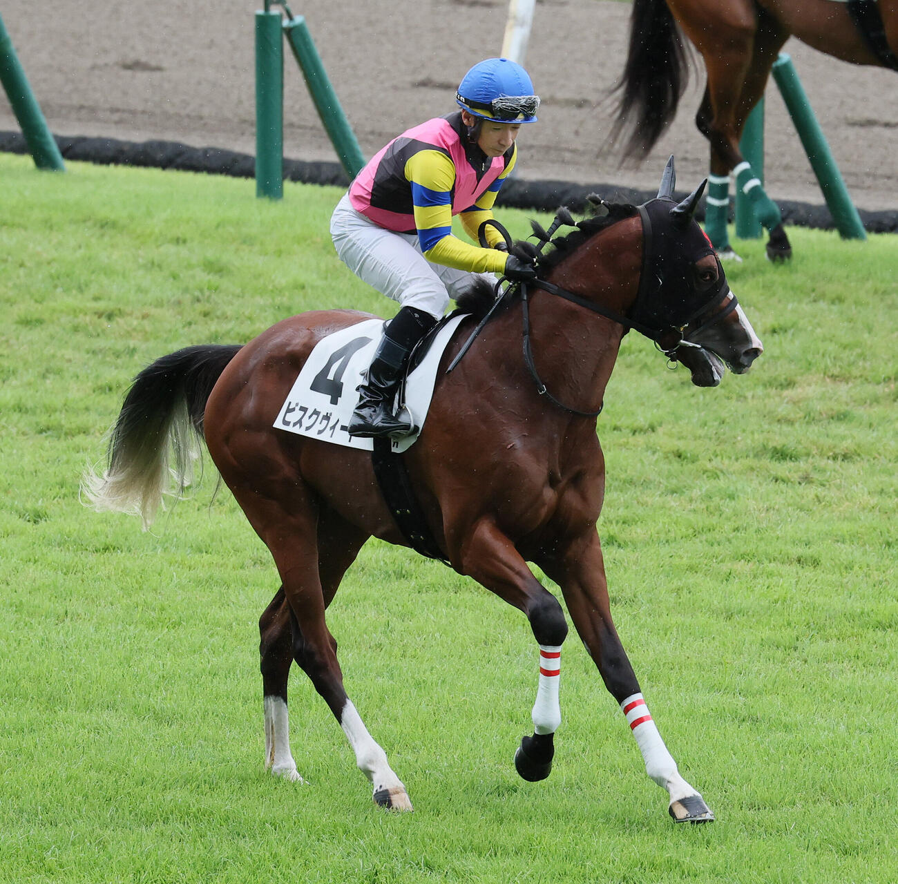 新潟3R、2歳未勝利戦でビスクヴィートに騎乗して実戦復帰した内田博幸騎手（撮影・丹羽敏通）