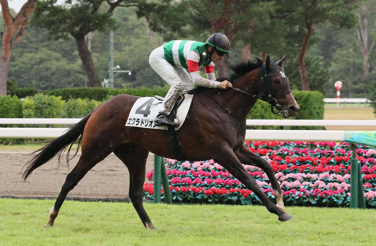 新潟4R、2歳新馬戦を制したエクラドリオンとクリストフ・ルメール騎手（撮影・丹羽敏通）