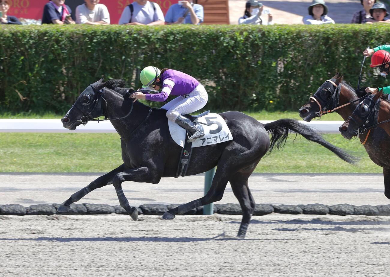 札幌4R3歳未勝利、アニマレイで勝利を収め、通算100勝を達成した小林美駒騎手