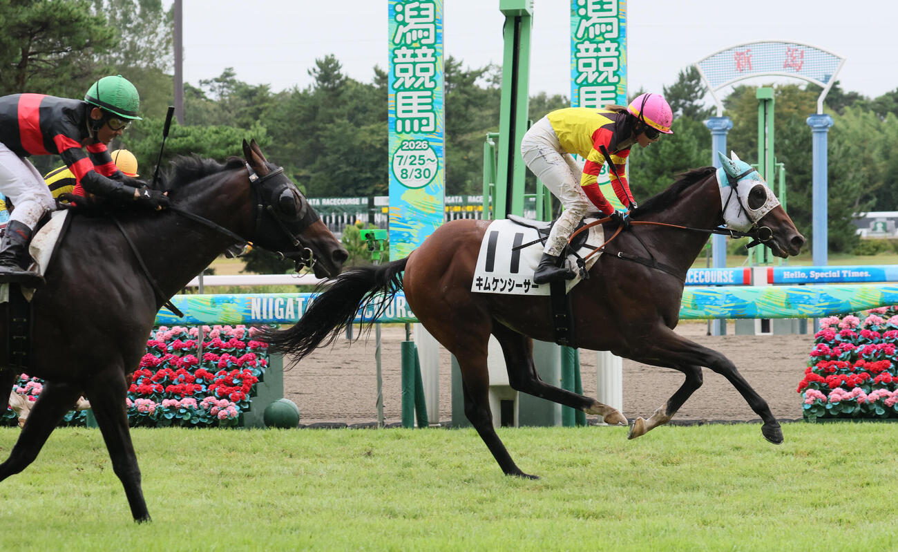 新潟3R、2歳未勝利戦を制したキムケンシーサーと今村聖奈騎手（撮影・丹羽敏通）