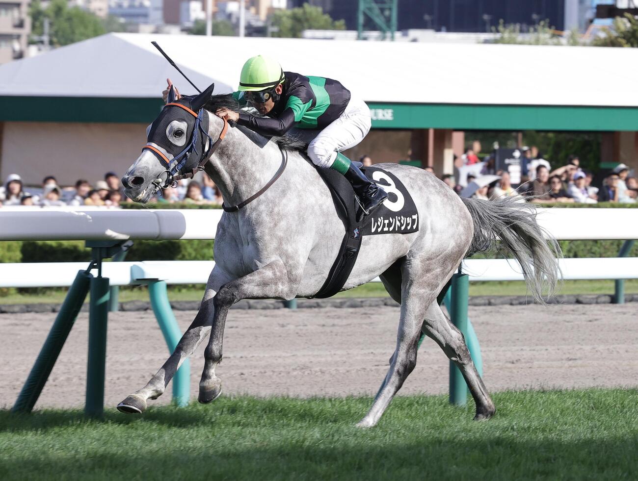 札幌11R、日刊スポーツ杯を制したレジェンドシップ