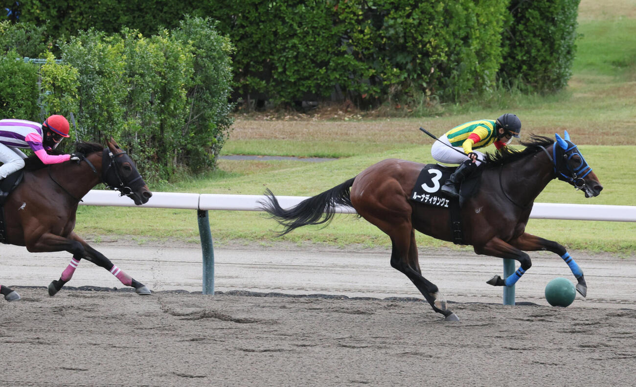 新発田城特別を制したルーナディサングエと菅原隆一騎手（撮影・丹羽敏通）