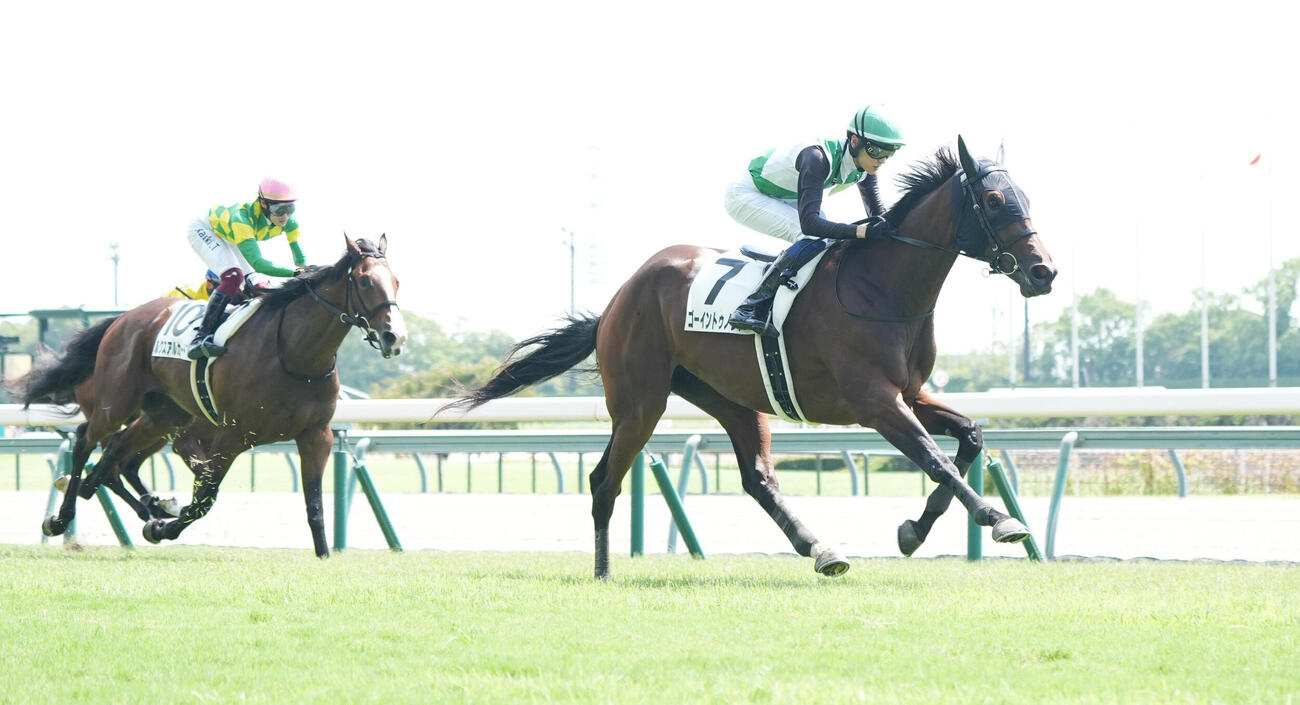 中京3R、新馬戦を制したゴーイントゥノヴァ（右）（撮影・森本幸一）