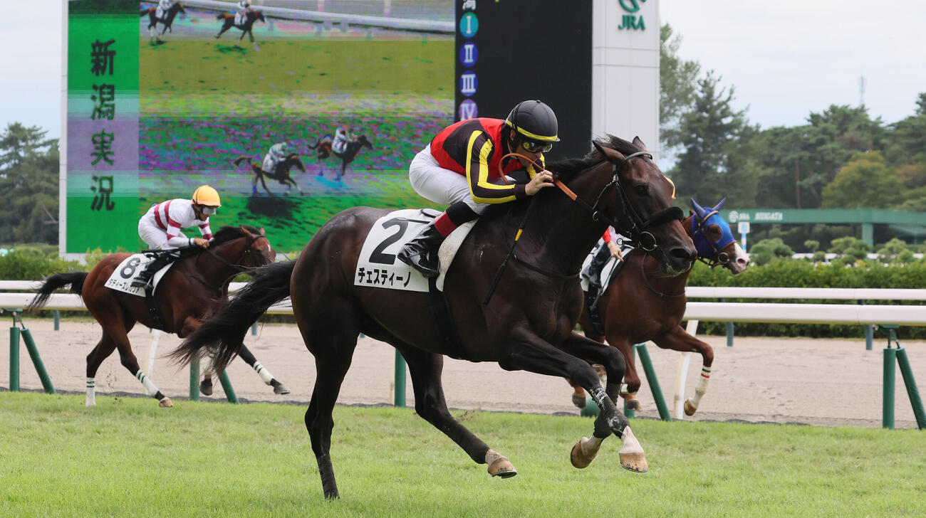 新潟4R、2歳新馬戦を制したチェスティーノとクリストフ・ルメール騎手（撮影・丹羽敏通）