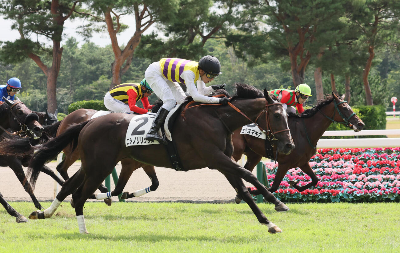 新潟3R、2歳未勝利戦を制したニシノリリックスと石橋脩騎手（手前）（撮影・丹羽敏通）