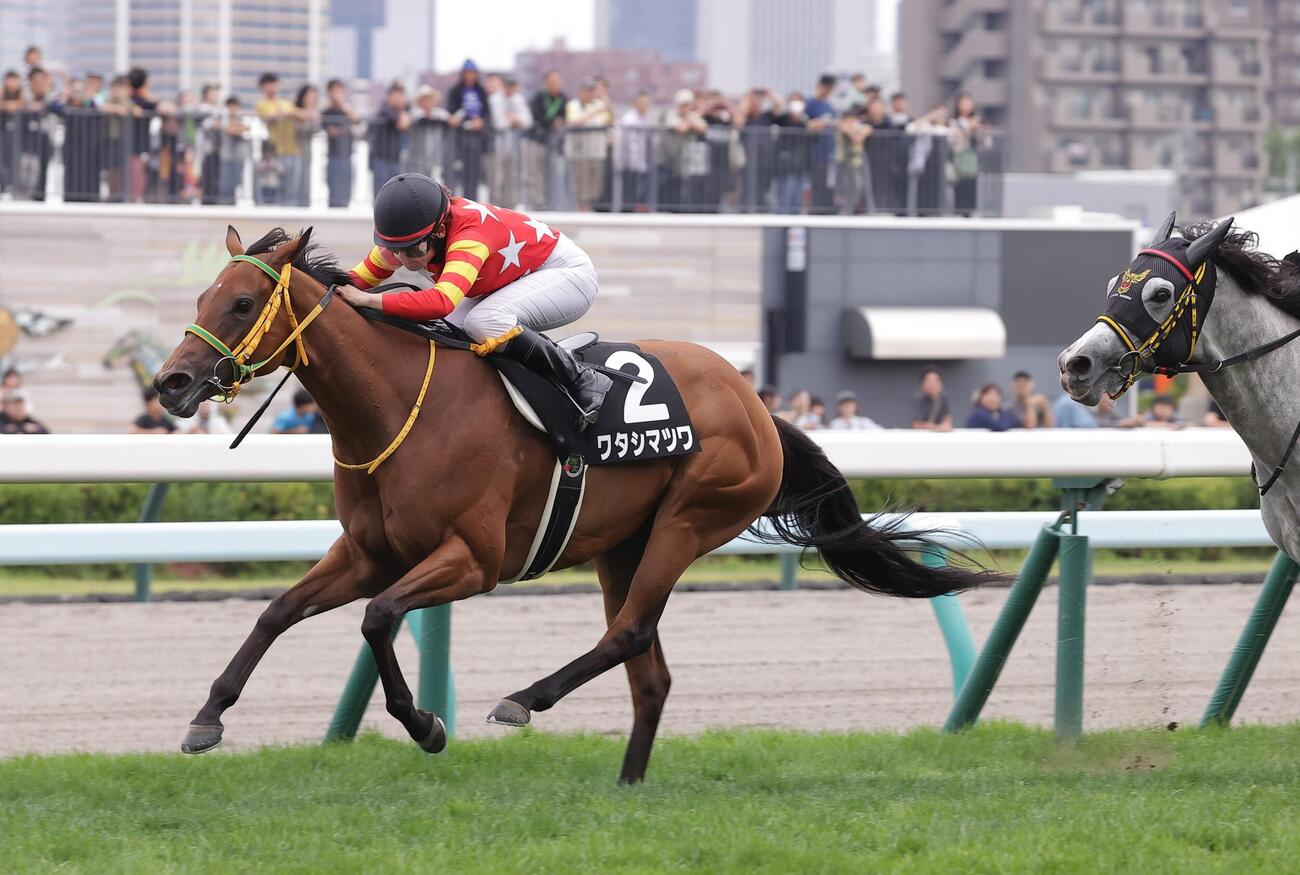 日高ステークスを制したワタシマツワ