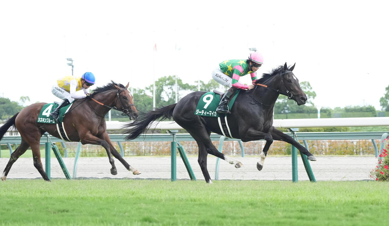 中京2歳Sを制したジーティーマイカ（右）（撮影・森本幸一）