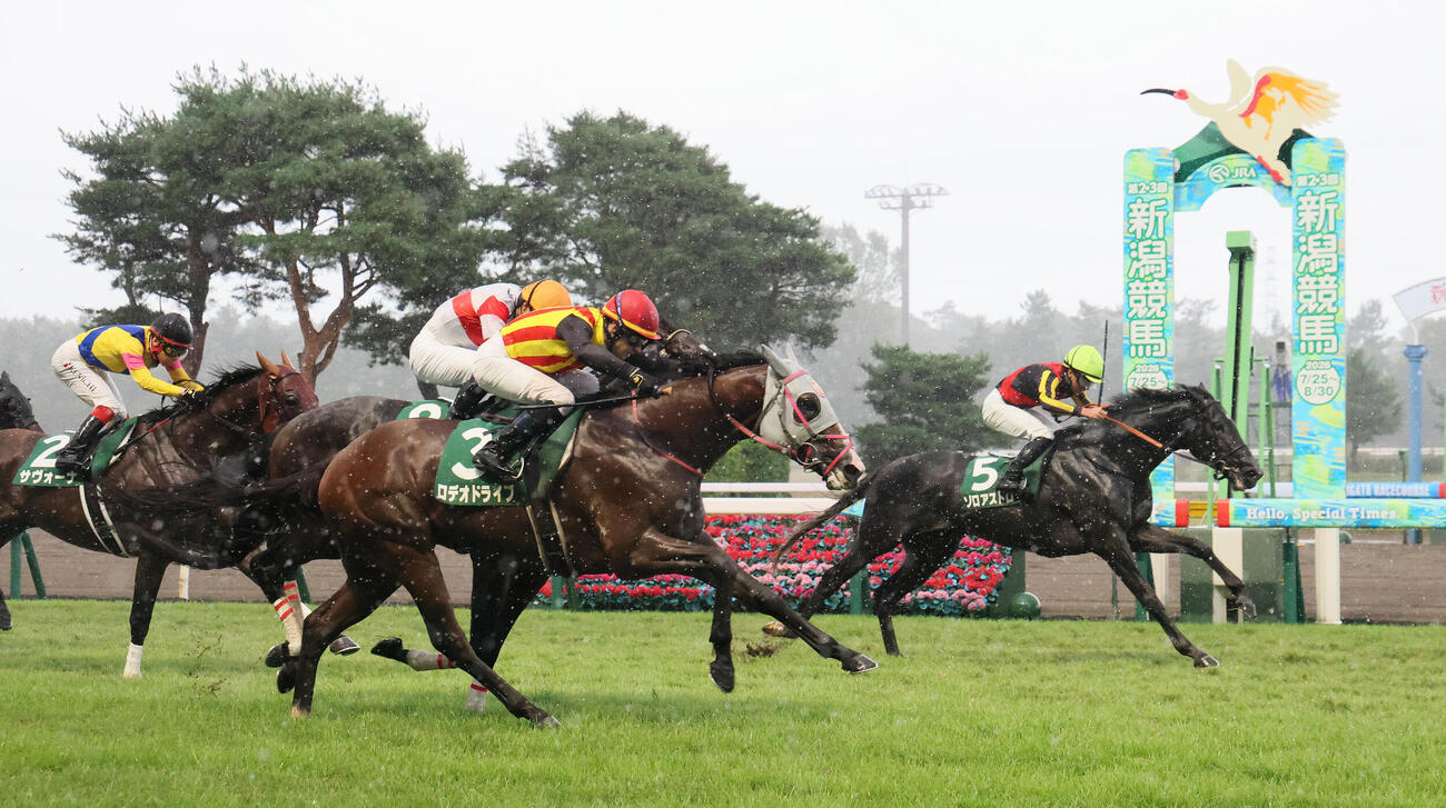 新潟記念を制したゾロアストロと岩田望来騎手（奥）。手前は2着ロデオドライブ（撮影・丹羽敏通）