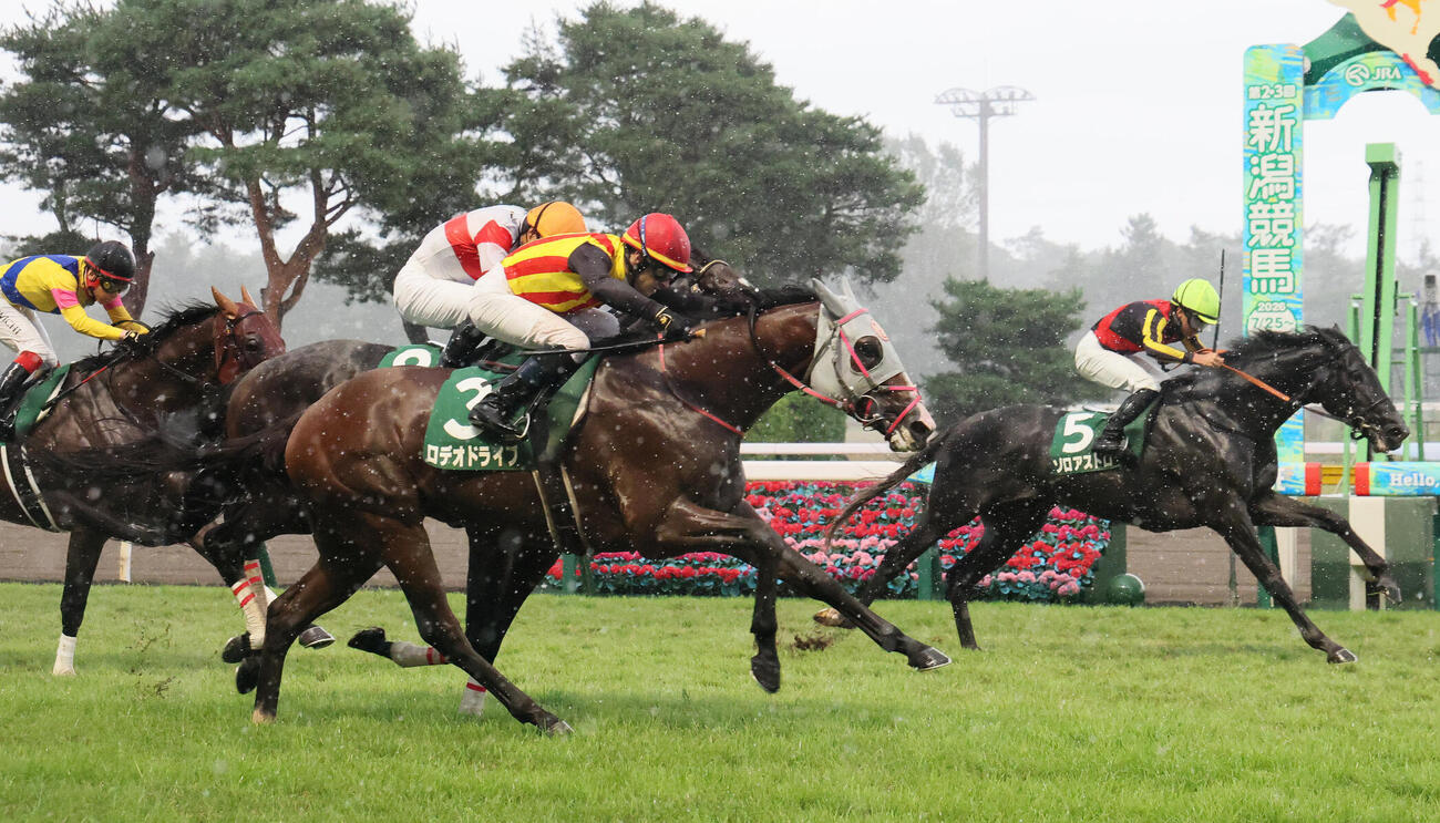 新潟記念2着に敗れたロデオドライブ（手前）。奥は勝ったゾロアストロ（撮影・丹羽敏通）