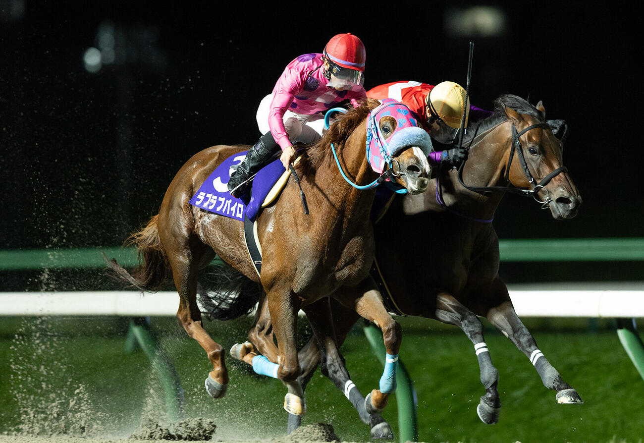 ビューチフルドリーマーCを制したラブラブパイロ（写真提供・岩手県競馬組合）