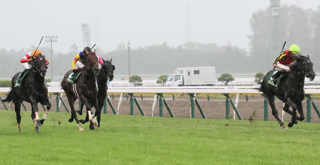 新潟記念3着のダノンシーマ（左）。右は勝ったゾロアストロ（撮影・丹羽敏通）
