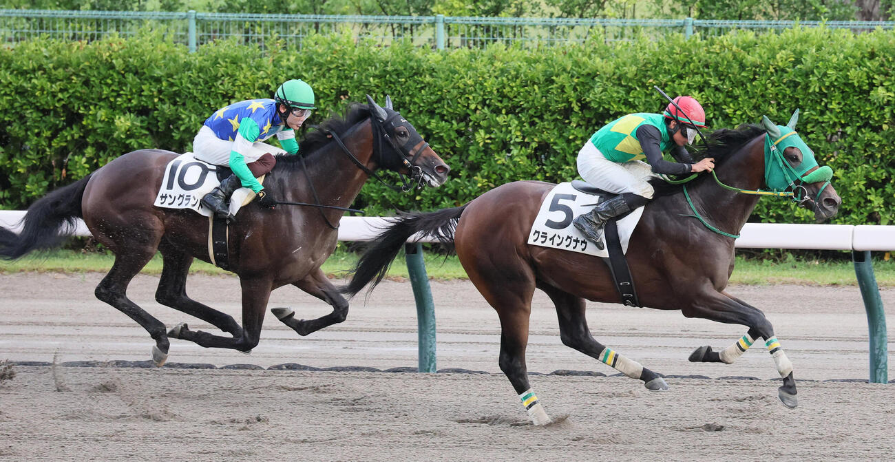 3歳未勝利戦を制したクライングナウと岩田望来騎手（撮影・丹羽敏通）