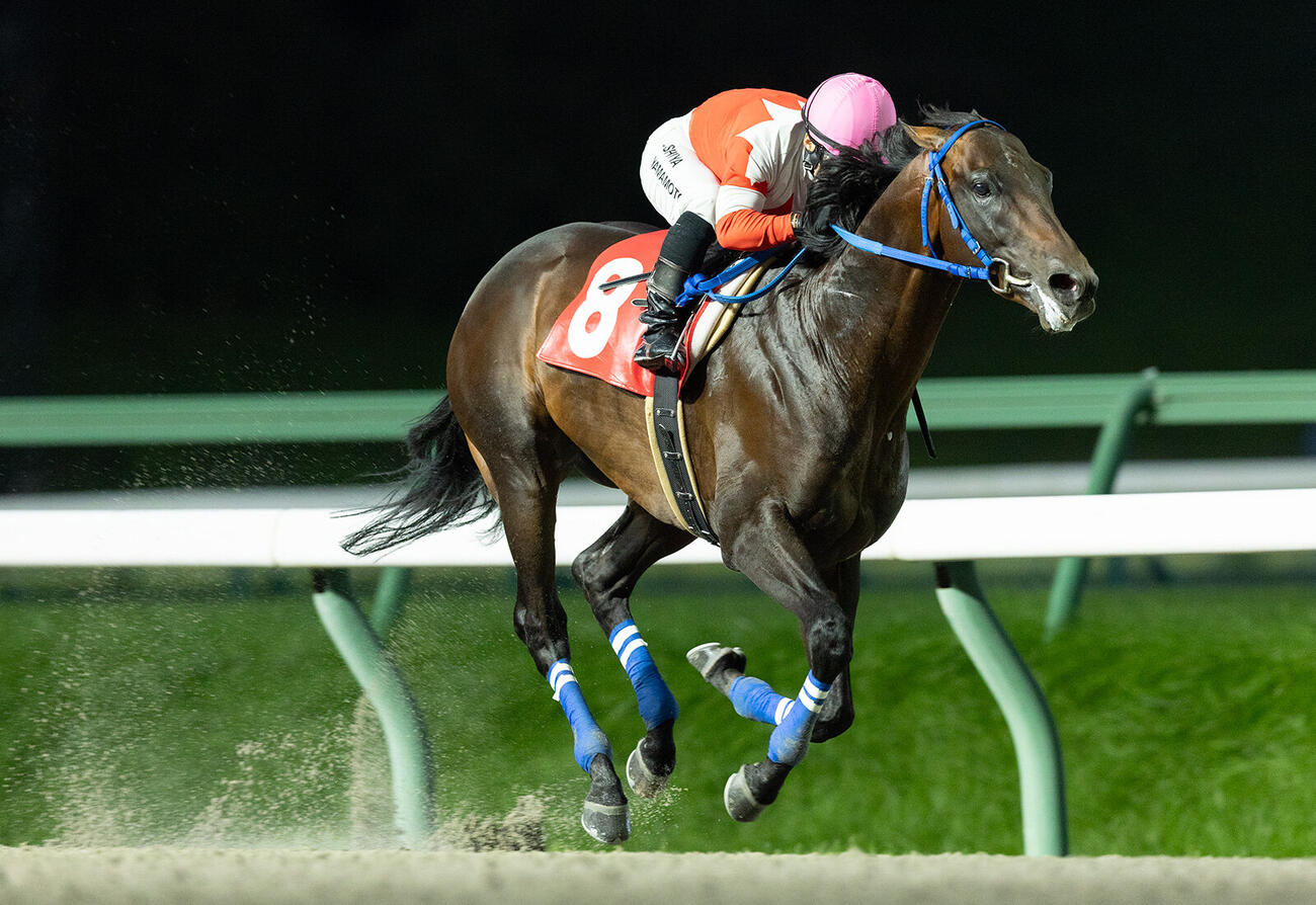 山本聡哉騎手が地方競馬通算3000勝（写真提供・岩手県競馬組合）