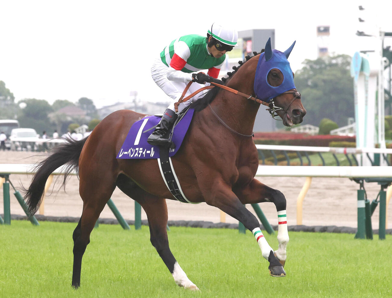 安田記念7着に敗れたレーベンスティール