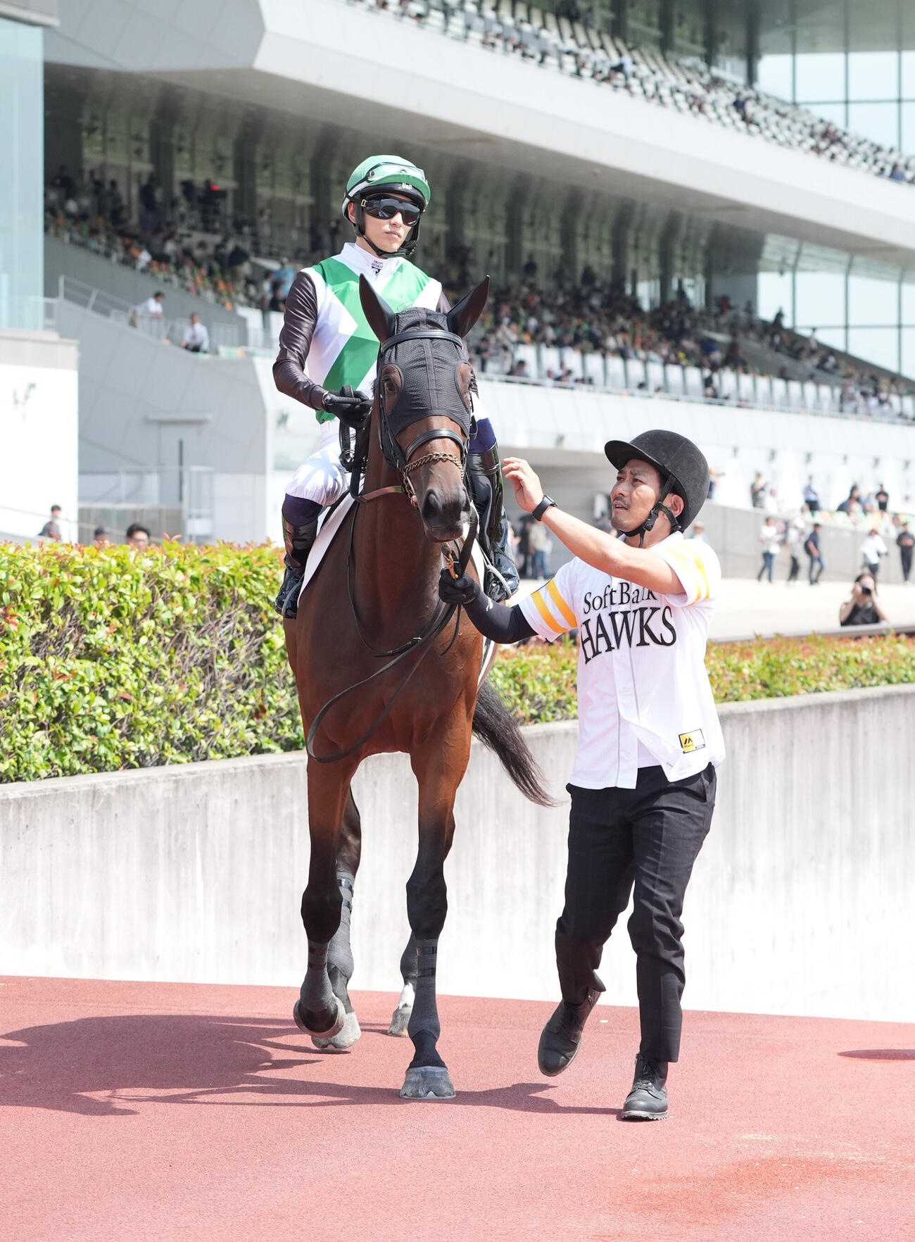 新馬戦を快勝したゴーイントゥノヴァ（2026年8月30日撮影）