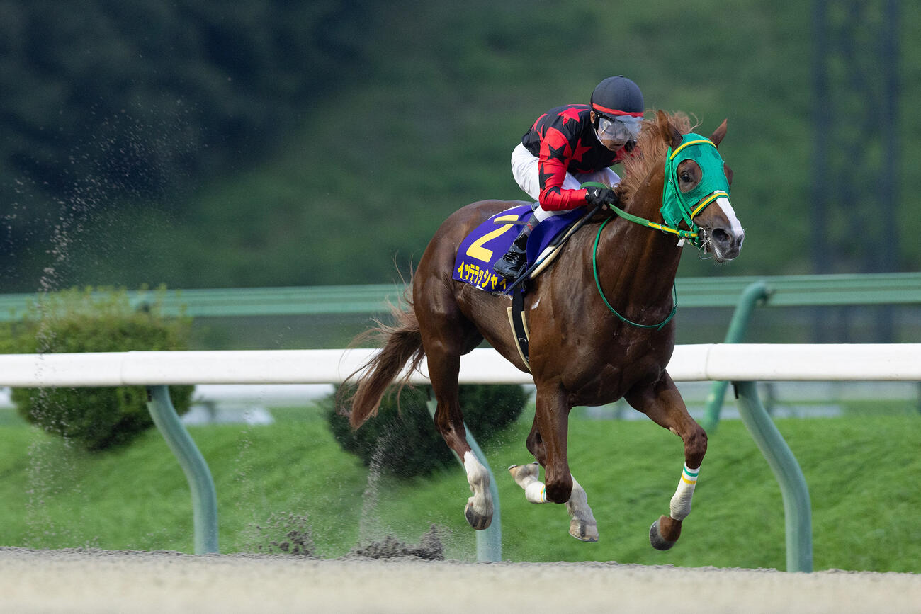 不来方賞を制したイッテラッシャイ（2026年9月1日撮影）