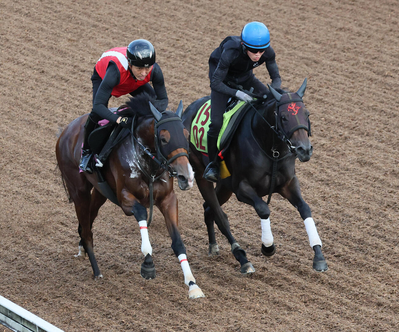 ジワタネホ（左）は高木大輔調教助手を背に美浦坂路でヴァンデエスと併せて追い切られた（撮影・丹羽敏通）