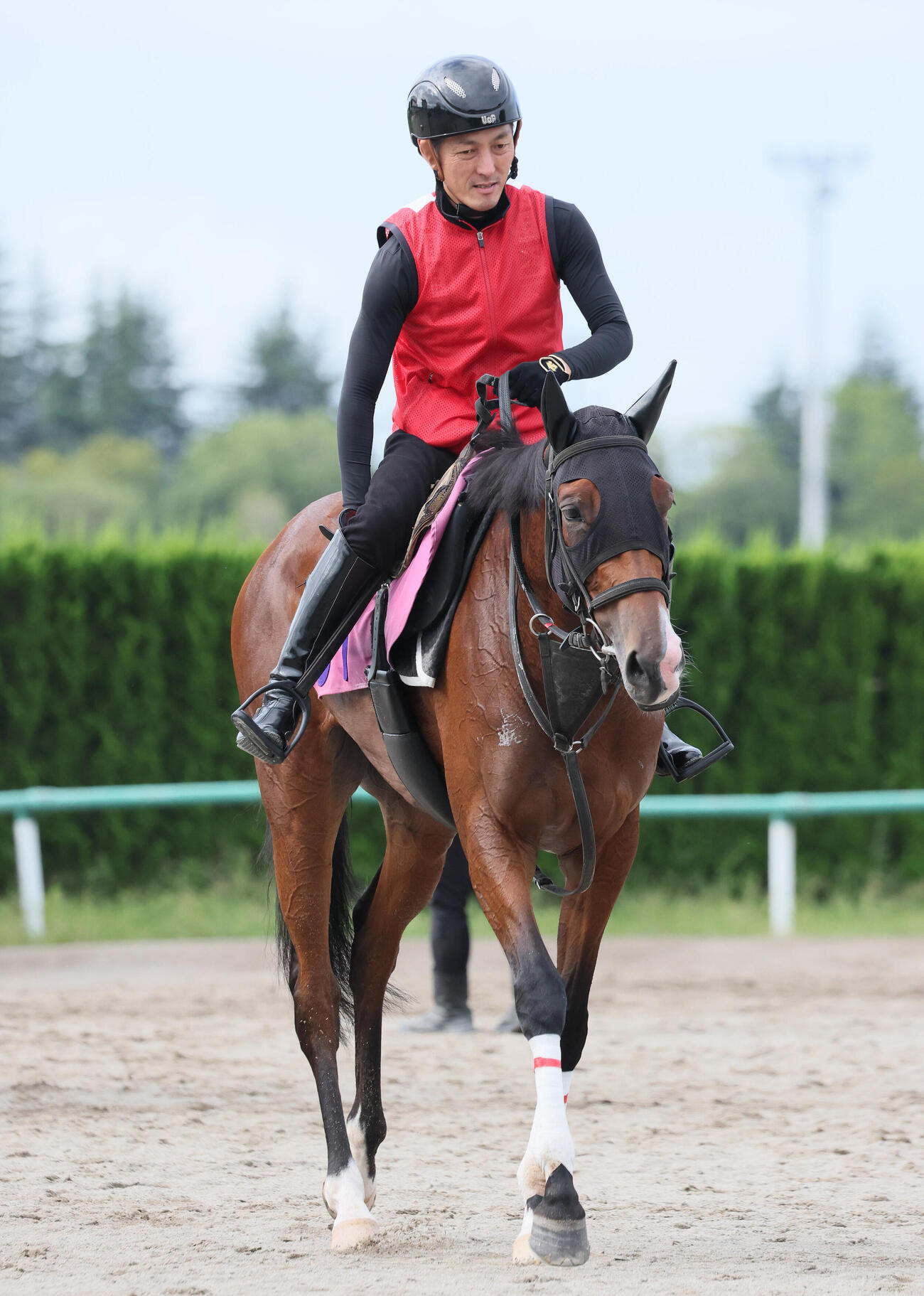 追い切りを終えて馬場を出るジワタネホと高木大輔調教助手（撮影・丹羽敏通）