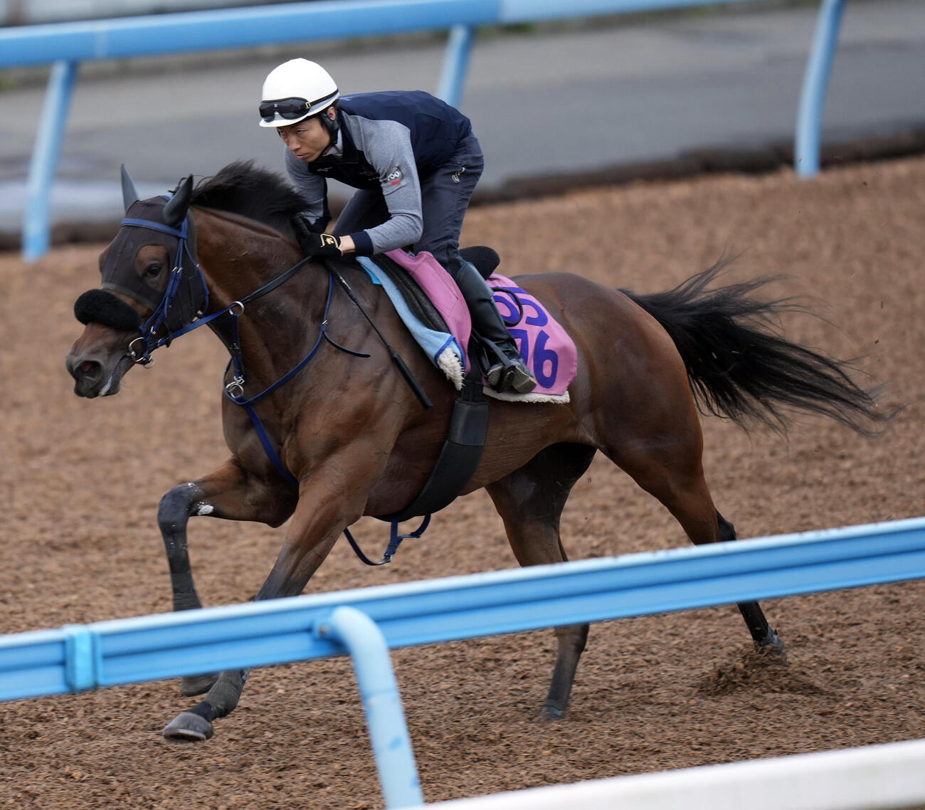 2日、マスターソアラは美浦ウッドを単走で追い切られた
