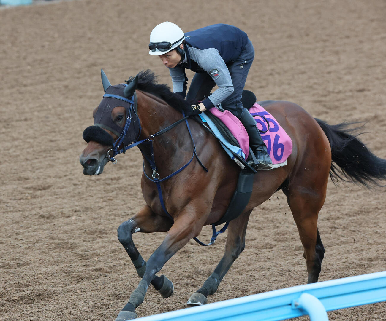 2日、マスターソアラは大野拓弥騎手を背に美浦ウッドを単走で追い切られた