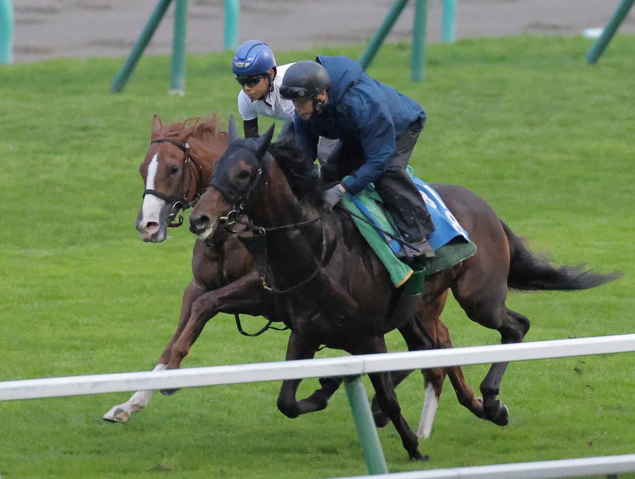 2日、北村友一騎手を背に、芝コースで併せ馬で追い切られるノヴァヴェローチェ（左）