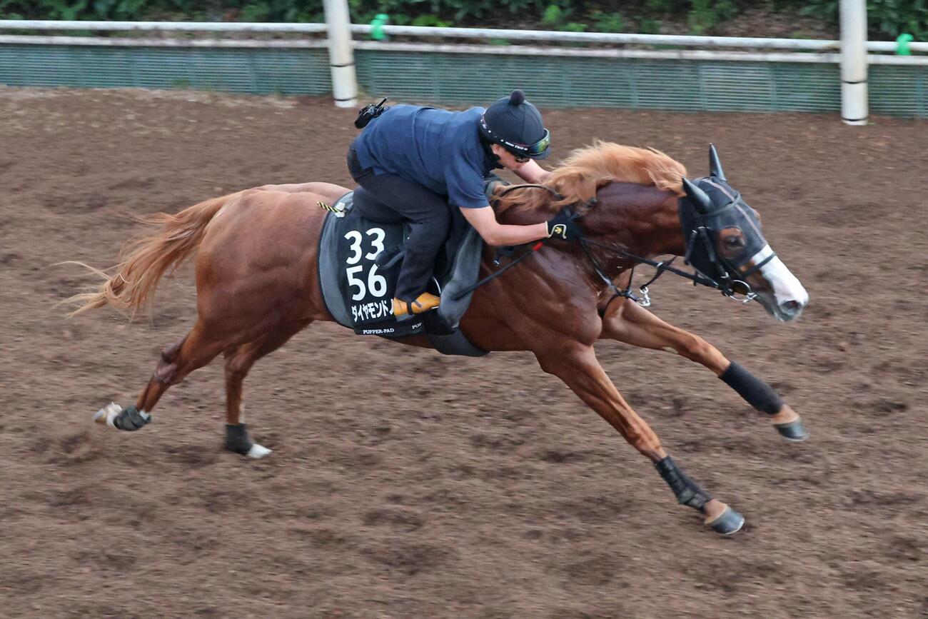 2日、馬場の中央を、真っ直ぐに駆け上がるダイヤモンドノット