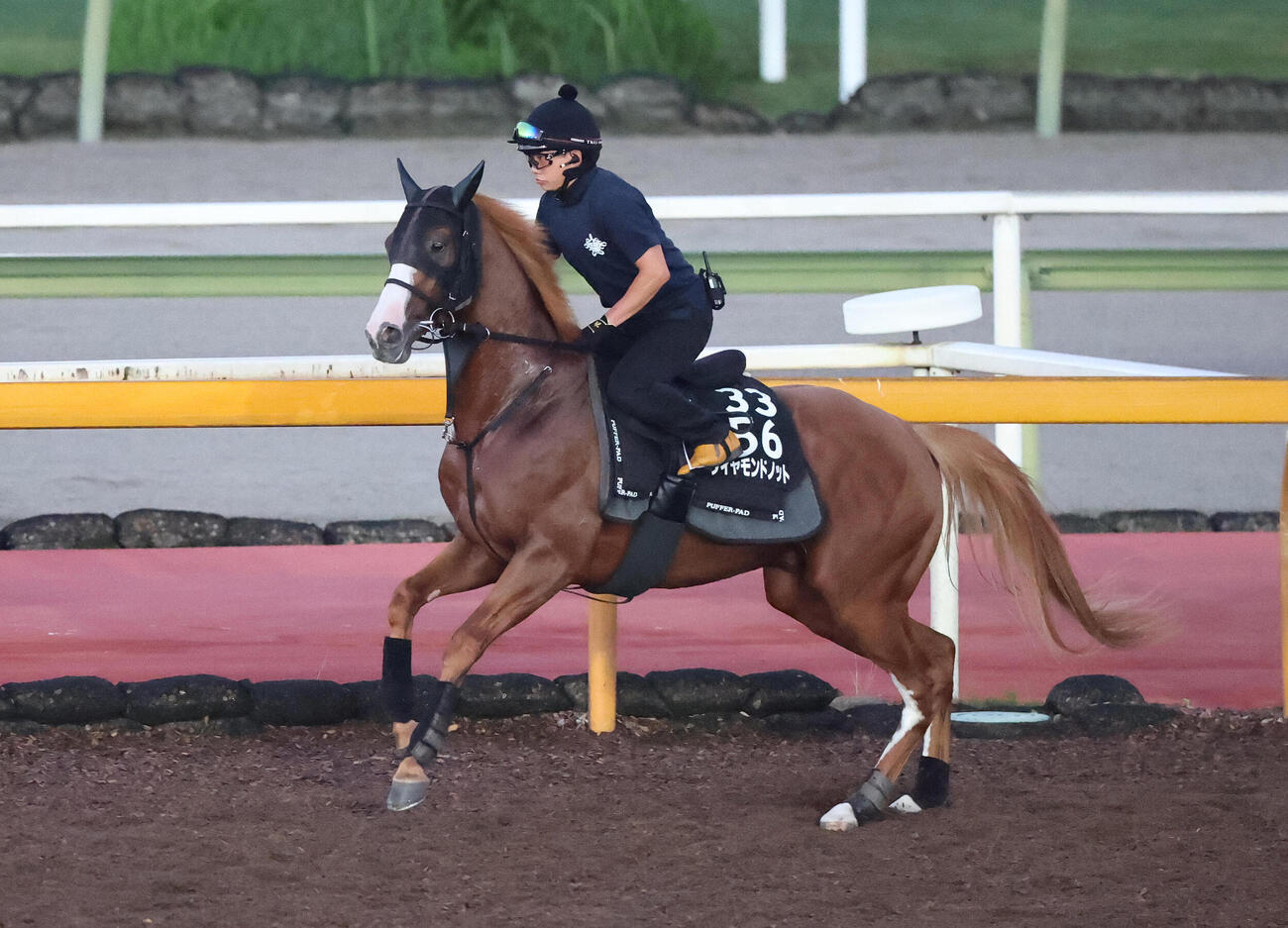 2日、Cウッドコースに馬場入りするダイヤモンドノット