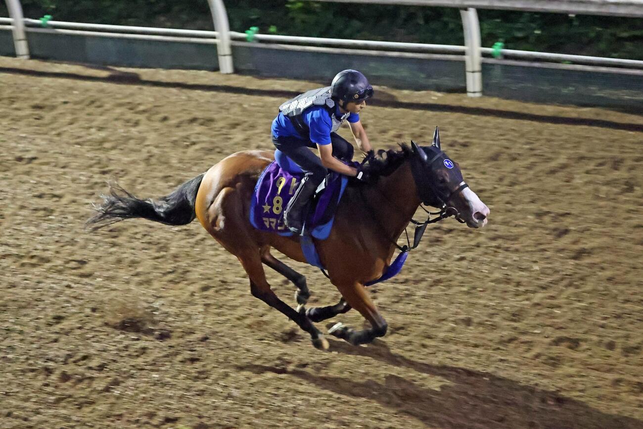 2日、坂路で馬ナリで駆け上がるママコチャ