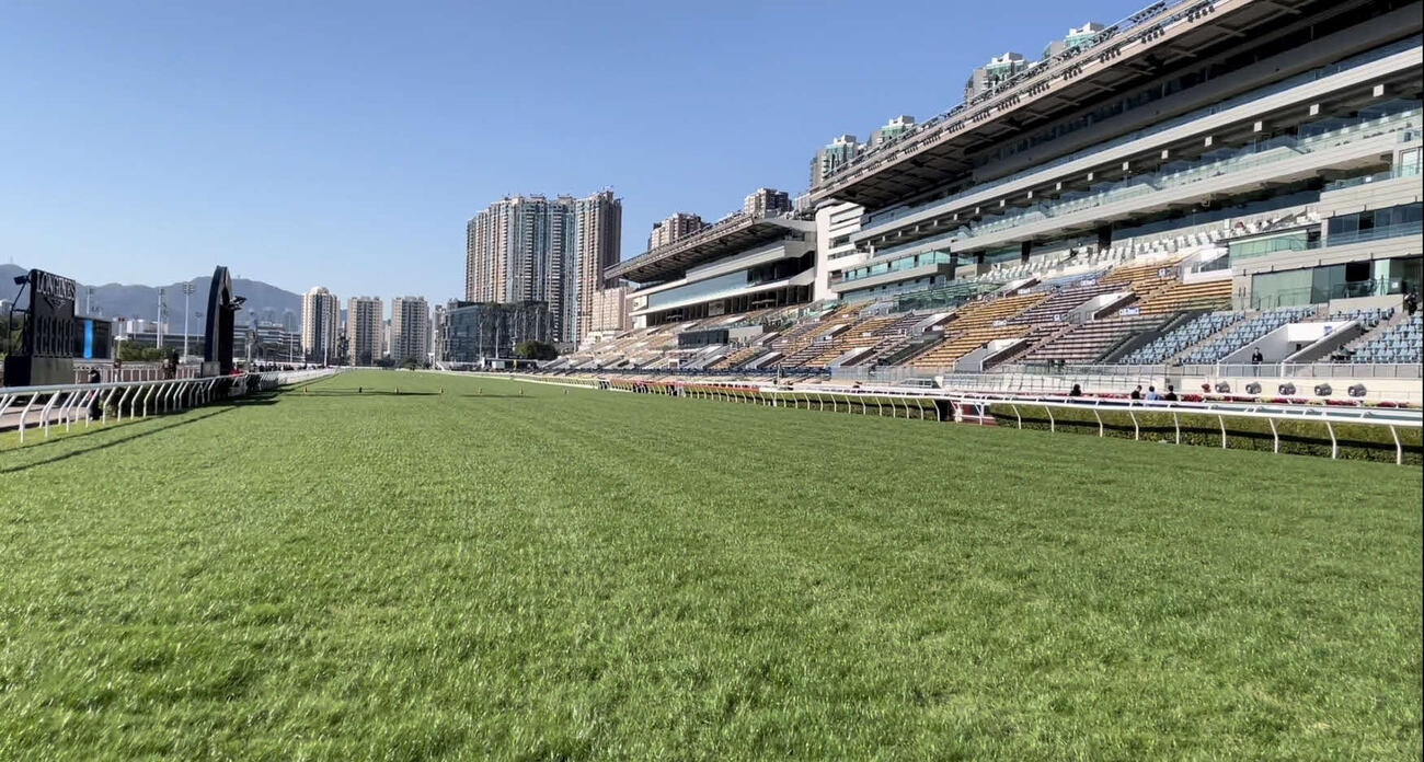 シャティン競馬場
