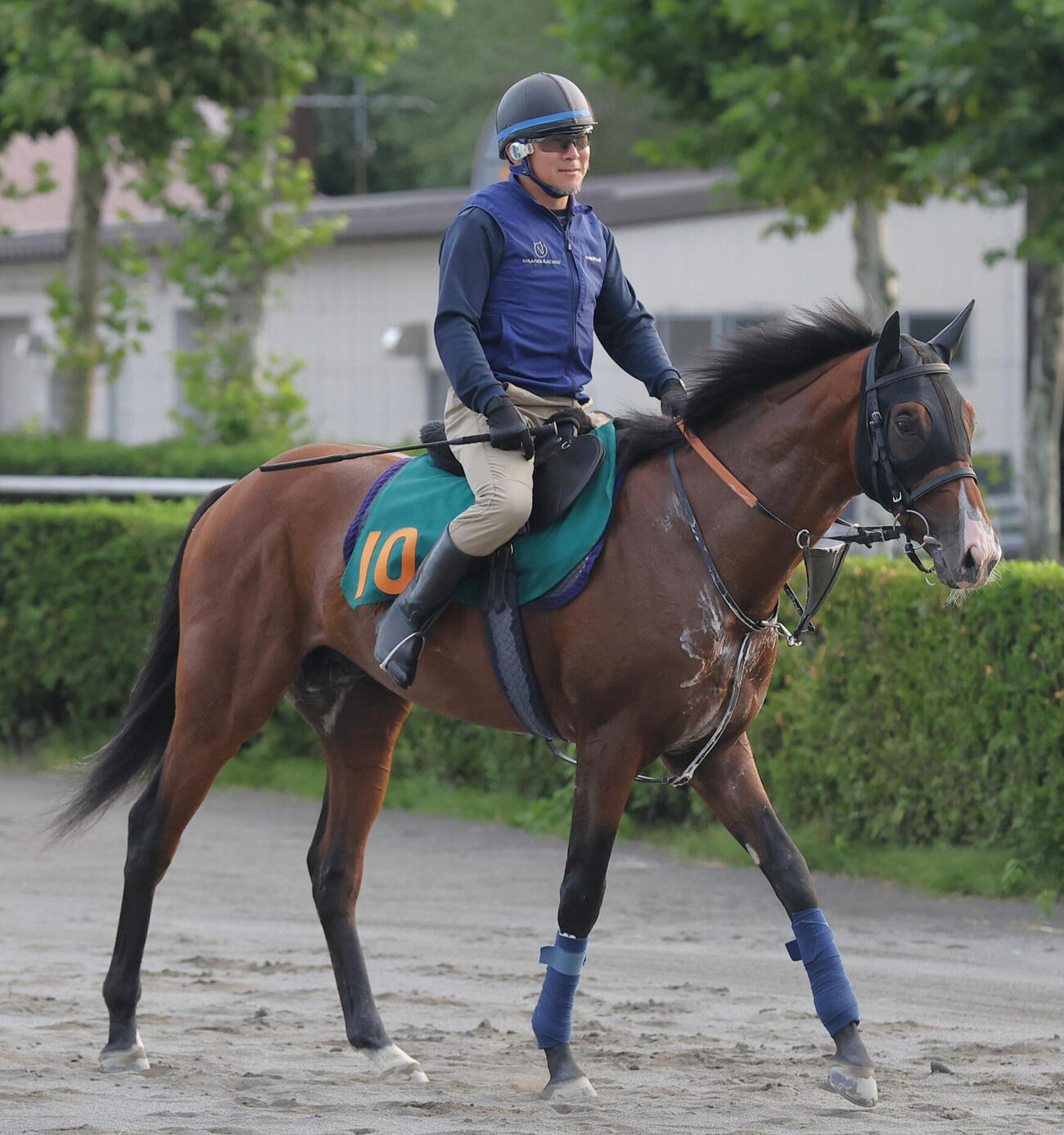札幌競馬場で調整するデザートスピリット（2026年9月1日撮影）